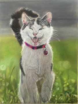 W & B cat -walking- in -grass 9x12
Original $250